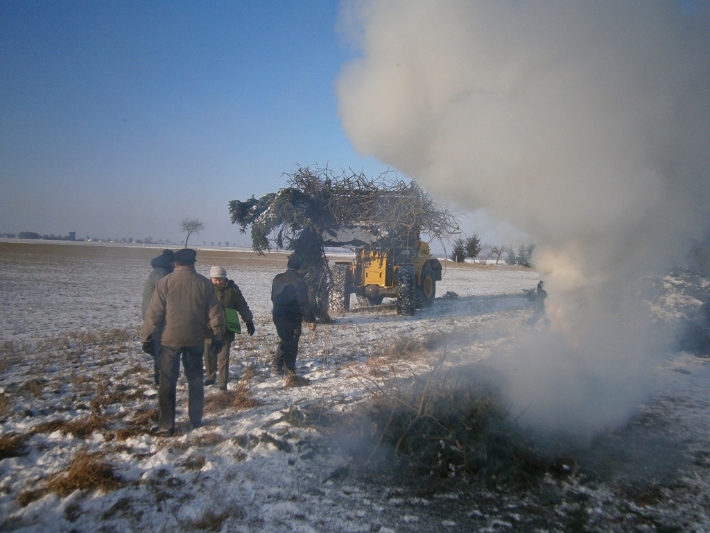 Februar 2012: Weihnachtsbaumverbrennung
